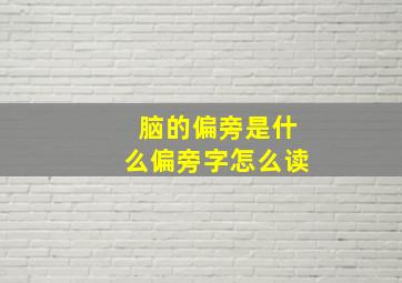 脑的偏旁是什么偏旁字怎么读