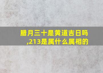 腊月三十是黄道吉日吗,213是属什么属相的