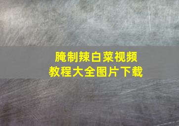 腌制辣白菜视频教程大全图片下载