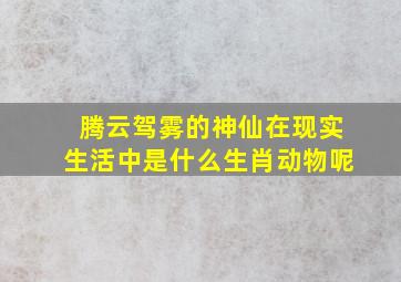 腾云驾雾的神仙在现实生活中是什么生肖动物呢