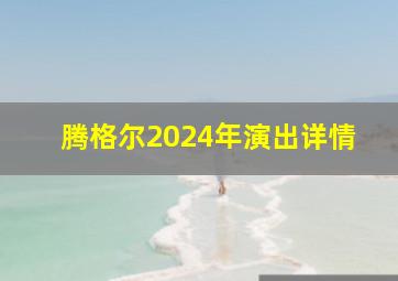 腾格尔2024年演出详情