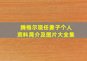 腾格尔现任妻子个人资料简介及图片大全集