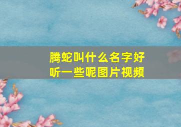 腾蛇叫什么名字好听一些呢图片视频