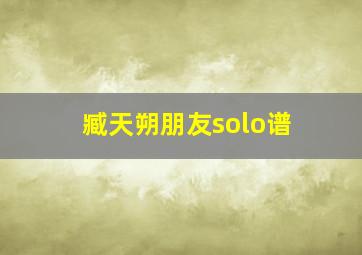 臧天朔朋友solo谱