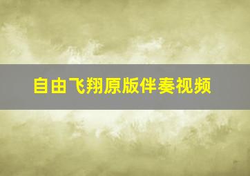 自由飞翔原版伴奏视频