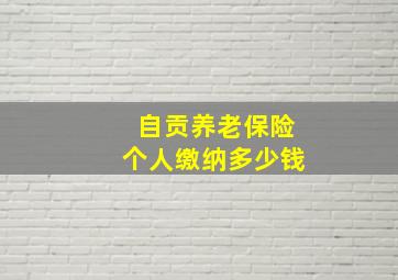 自贡养老保险个人缴纳多少钱