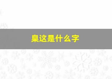 臬这是什么字