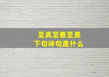 至真至善至美下句诗句是什么