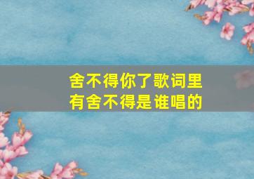 舍不得你了歌词里有舍不得是谁唱的