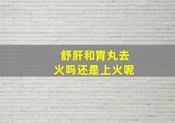 舒肝和胃丸去火吗还是上火呢