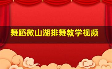 舞蹈微山湖排舞教学视频