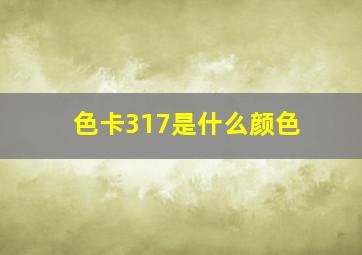 色卡317是什么颜色