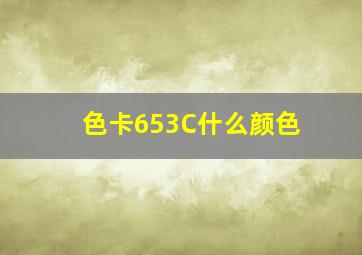 色卡653C什么颜色