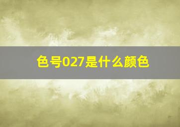 色号027是什么颜色