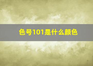 色号101是什么颜色