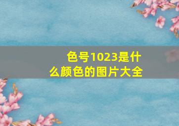 色号1023是什么颜色的图片大全