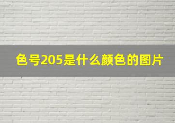 色号205是什么颜色的图片