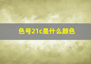 色号21c是什么颜色