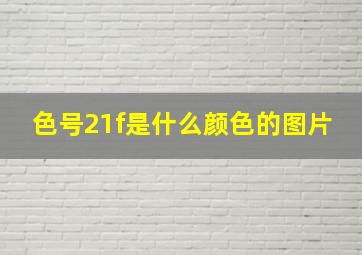 色号21f是什么颜色的图片