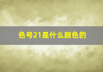 色号21是什么颜色的