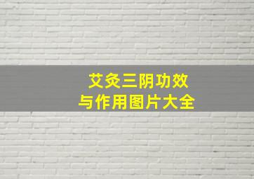 艾灸三阴功效与作用图片大全