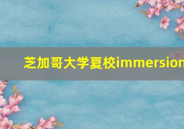 芝加哥大学夏校immersion