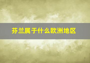 芬兰属于什么欧洲地区