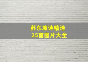 苏东坡诗精选25首图片大全