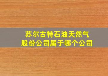 苏尔古特石油天然气股份公司属于哪个公司