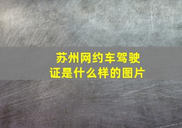 苏州网约车驾驶证是什么样的图片