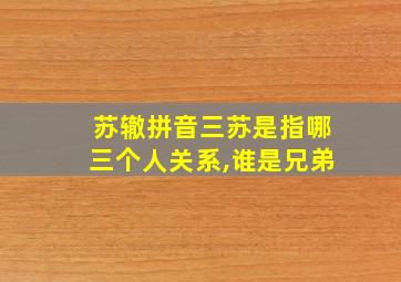 苏辙拼音三苏是指哪三个人关系,谁是兄弟