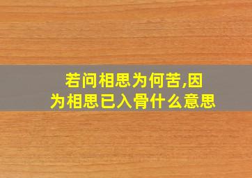 若问相思为何苦,因为相思已入骨什么意思