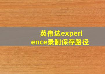 英伟达experience录制保存路径