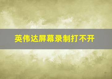 英伟达屏幕录制打不开