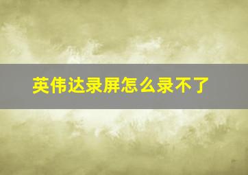 英伟达录屏怎么录不了