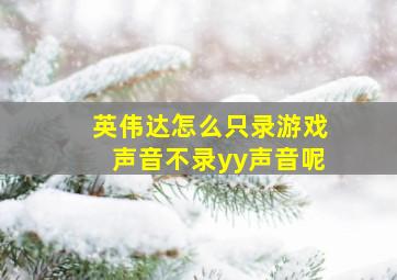 英伟达怎么只录游戏声音不录yy声音呢