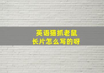 英语猫抓老鼠长片怎么写的呀