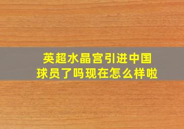 英超水晶宫引进中国球员了吗现在怎么样啦