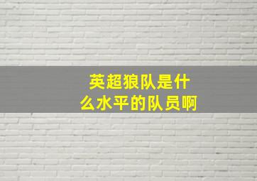 英超狼队是什么水平的队员啊