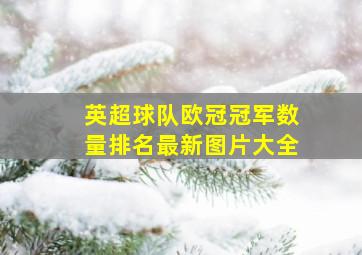 英超球队欧冠冠军数量排名最新图片大全