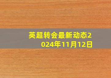 英超转会最新动态2024年11月12日