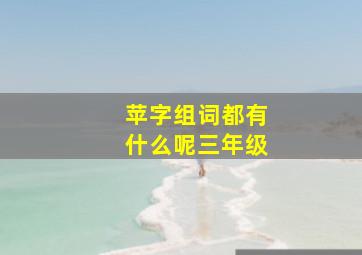 苹字组词都有什么呢三年级