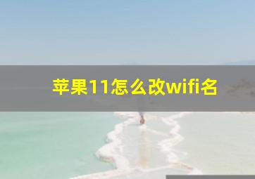 苹果11怎么改wifi名