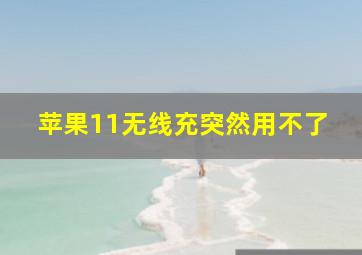 苹果11无线充突然用不了