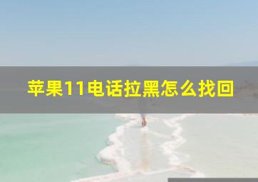 苹果11电话拉黑怎么找回