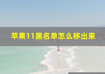 苹果11黑名单怎么移出来