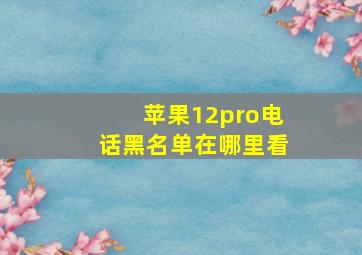 苹果12pro电话黑名单在哪里看