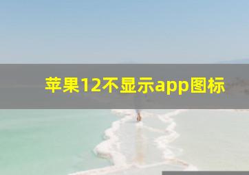 苹果12不显示app图标