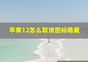 苹果12怎么取消图标隐藏