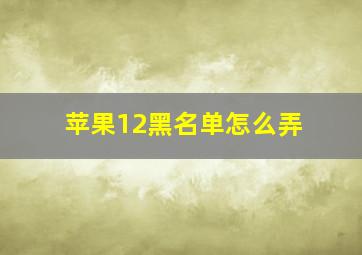 苹果12黑名单怎么弄